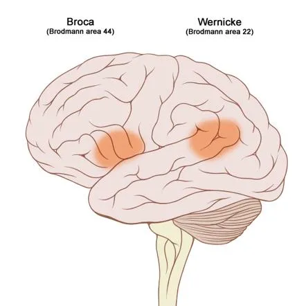 4422