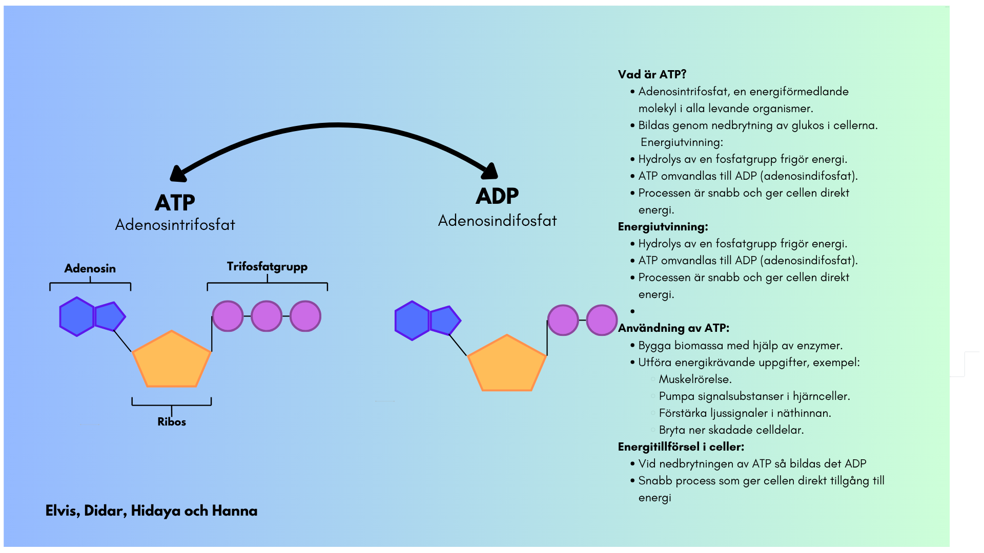 Exempelposter om ATP